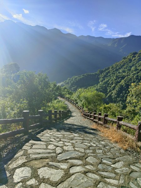 龍頭山步道2371711