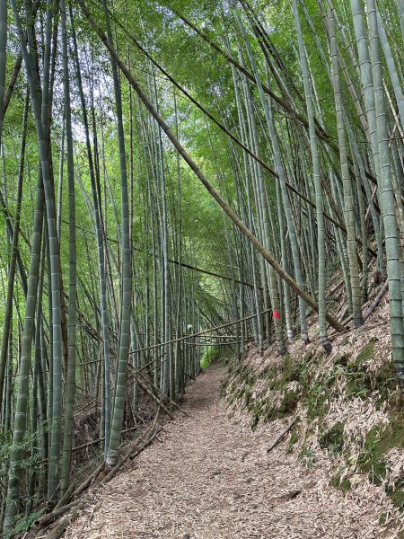 瑞太古道串走奮瑞古道2297979