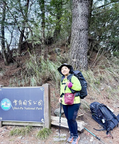 230林道糜爛去    2025.2.28-3.12733785