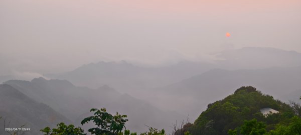 #山羌 #親子檔 #二格山 #日出 #雲海 #晨霧 4/113033440