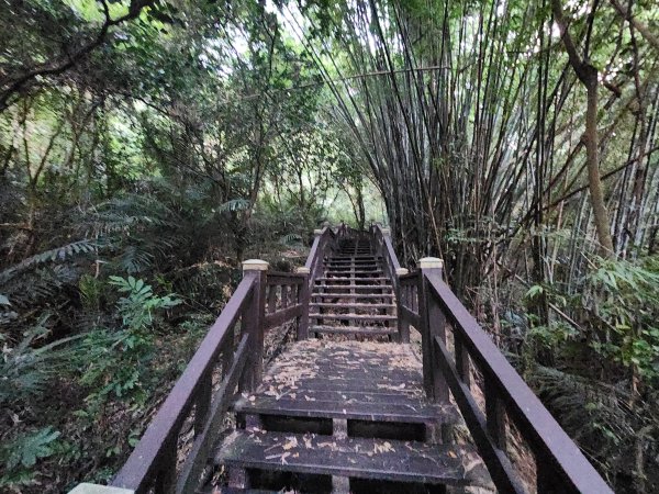 20240721泰安登山步道登七塊山2599940