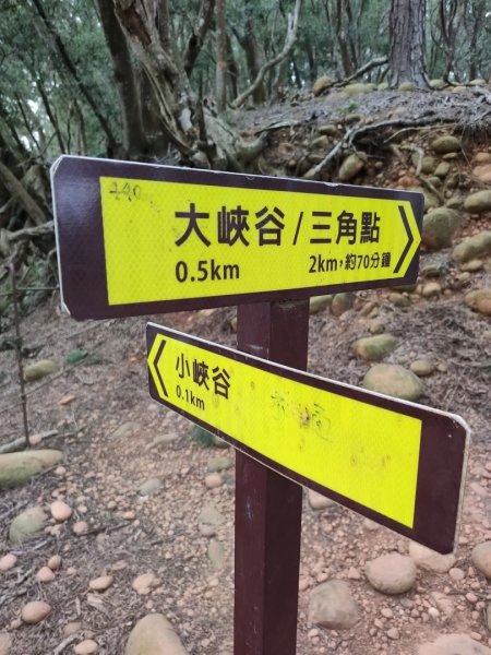 1140206火炎山3097961