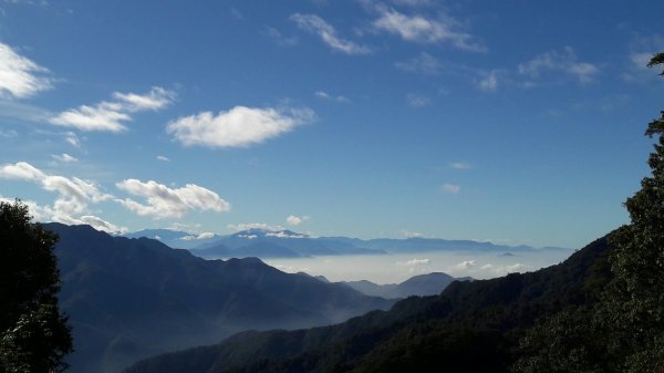 大雪山森林遊樂區觀鳥賞景20190105498522