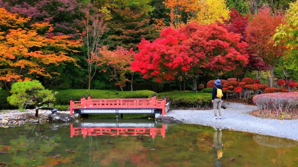 岩手縣藤原之鄉2930098
