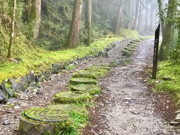 雨霧散遊太平山885868