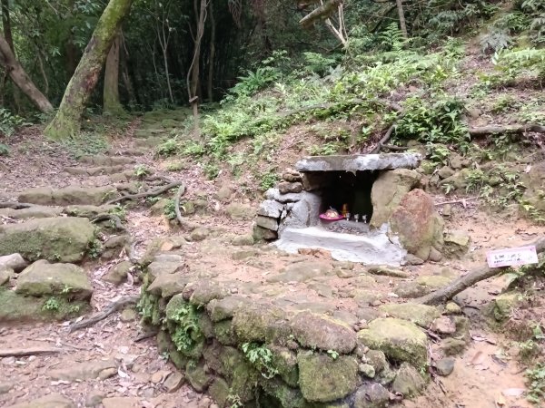 基隆市荖寮坑古道+十分古道(暖東舊道)+頂子寮山(嶺頭土地公)P字走2821558