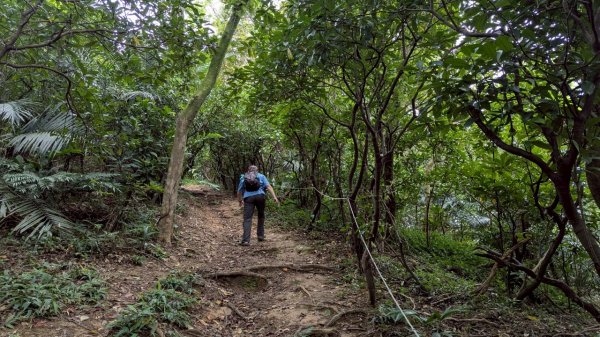 114.07.27槓子寮山+煙火2847298