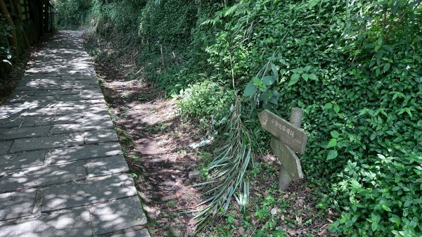 台北大縱走第二段2786949