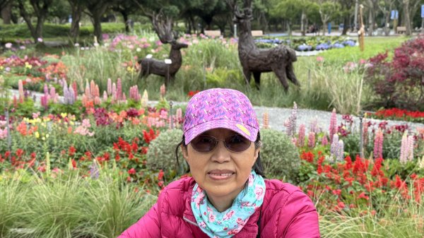 2025台北杜鵑花季｜大安森林公園｜迎曦花丘｜20250307｜峯花雪月2729814