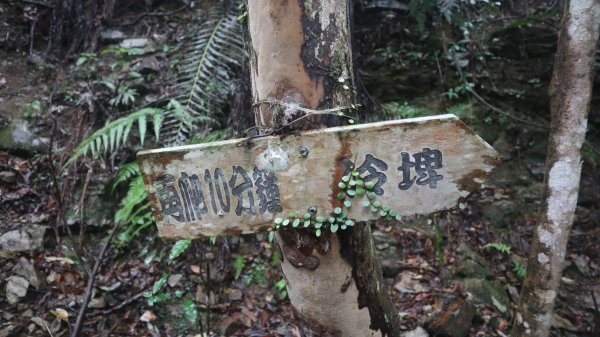 冷埤登山健行趣2447557