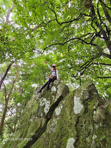 林相優美的油羅山，細數蟬鳴鳥叫2546796