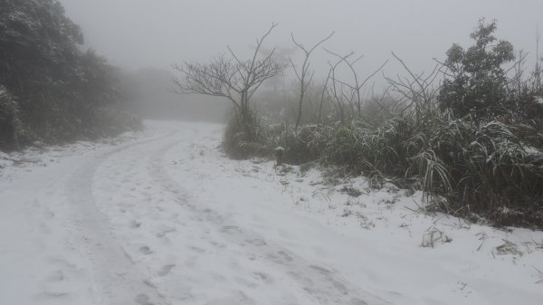 台北後花園下雪了 ！1232085