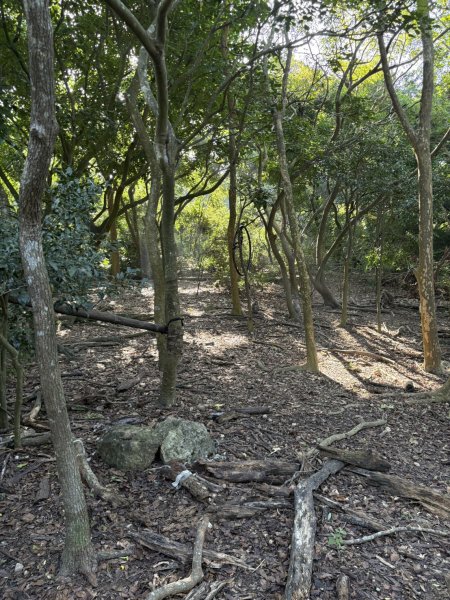 20251115壽山步道(元亨寺免費停車啟登)2938473