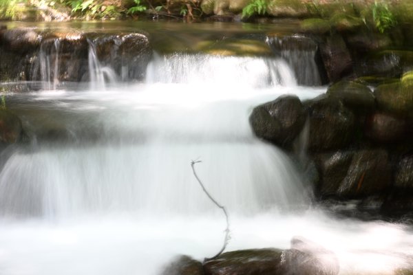 2025_0628 大羅蘭溪古圳步道(福山馬岸)2825221