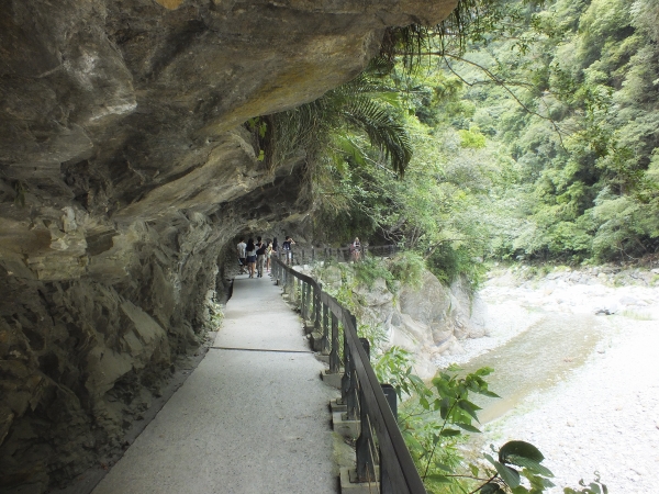 砂卡礑步道 清水斷崖21021