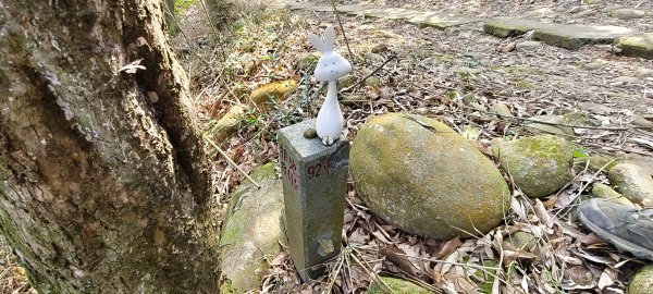 2026/03/08-毘盧禪寺步道+七星崗3013876