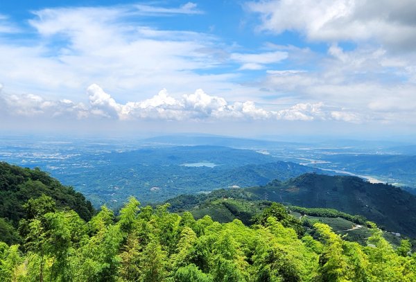 【中級山縱走】雲嘉八連峰（後棟仔山，大尖山，二尖山，馬鞍山，梨子腳山，太平山，大巃頂山及其西北峰）2821117