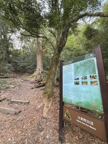 船型山林道賞雲海、烏石坑山、2432峰 山景海景一次到位2929320