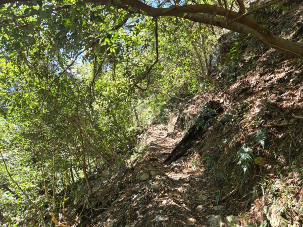 八仙山森林遊樂區、佳保台山2712661