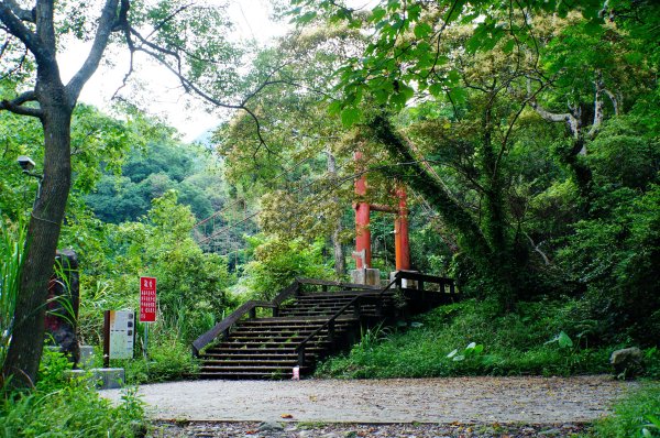 苗栗 泰安 虎山3118654