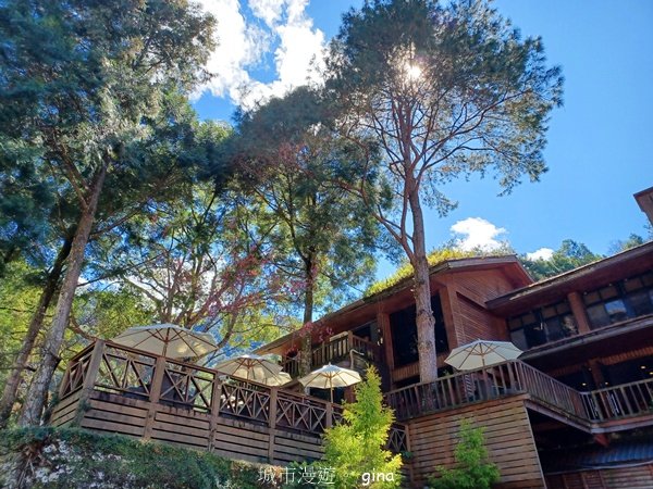 【台中和平】森林步道悠閒走。 八仙山森林遊樂區步道群2784608