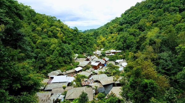 清邁：Huai Kaeo、大樹咖啡2486907