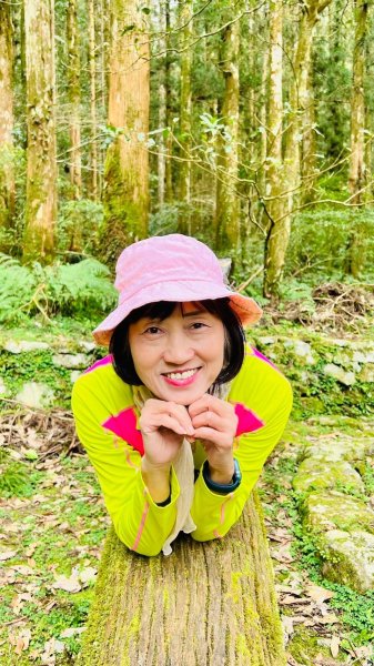 🌈228連假北橫賞櫻客製化四日遊Day2 FB：熊熊趴爬走🌈2724595