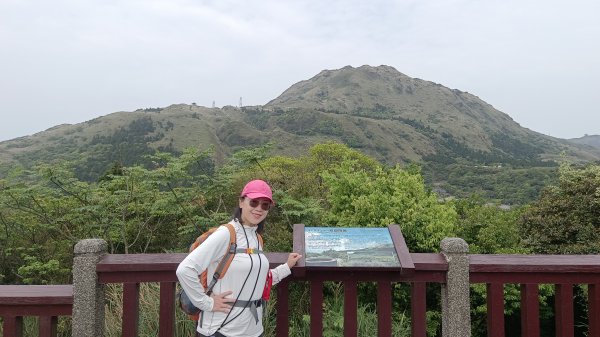 (姨婆趴趴走)第五十一集:台北冷擎步道、金包里大路(魚路古道)2757242