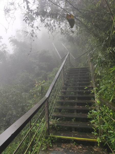 二延平步道2371815