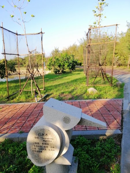 台中大安~風車轉轉~龜殼生態公園景觀步道1014961