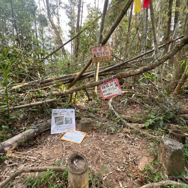 日月潭後尖頭社蹤走2748520