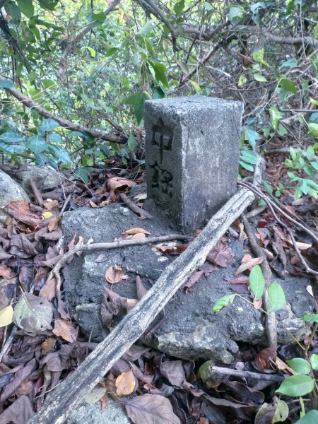 柴山之美~2934541