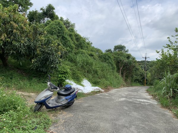 20250830台南頂山2877123