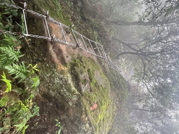 皇帝殿202603293035829