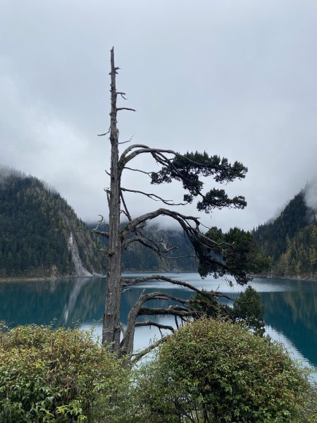 九寨溝風景2928122