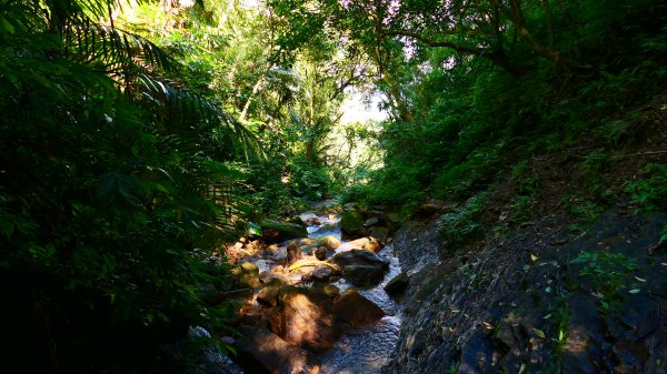 大尖山瀑布2932171