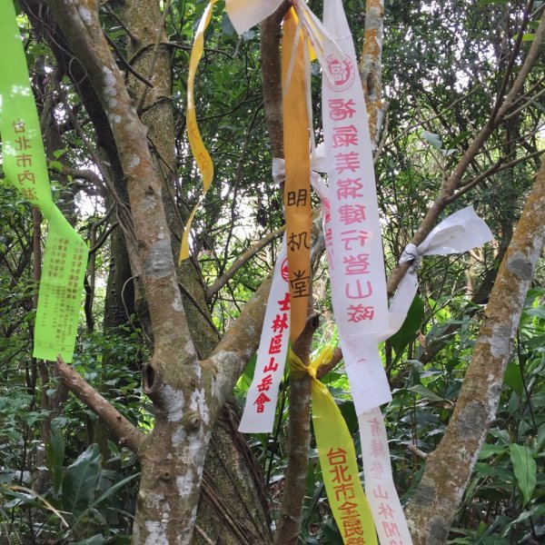 臺北大縱走第四段946883