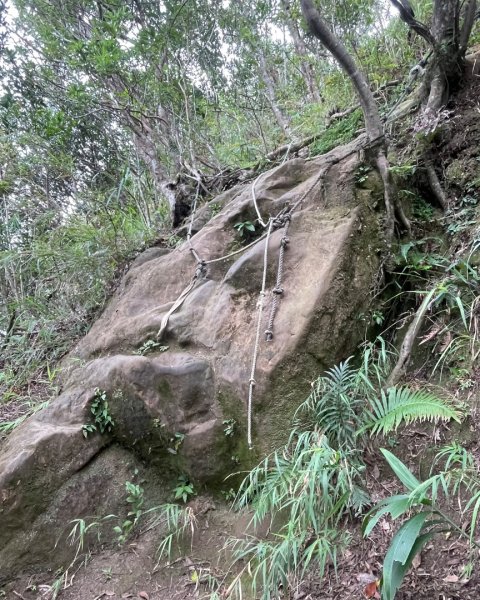 微笑山⛰️線-大棟-二格山-五分山-天上山-鳶山💎12條步道完成💙2836366