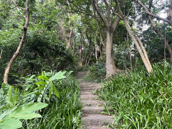 [微笑山線_第五段] 2025_0705 天上山系_國旗嶺2830063