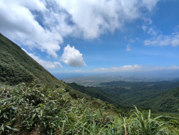 2024.07.20－抹茶山＆三角崙山，再次探訪2555359