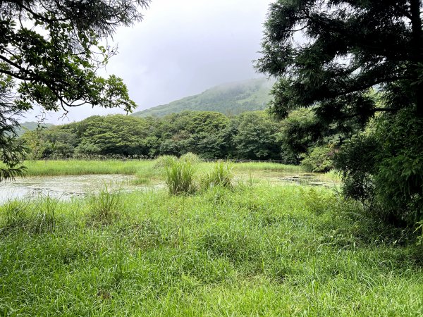 【臺北大縱走第三段】小油坑→風櫃口 之 天雨路滑小孩還特別多2178620