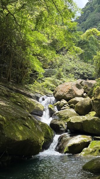 戲水（鴛鴦2786683