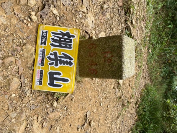 棚集山之旅1950695