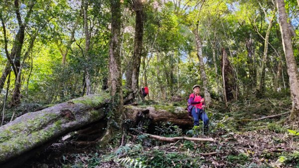 唐穗山11408162860929