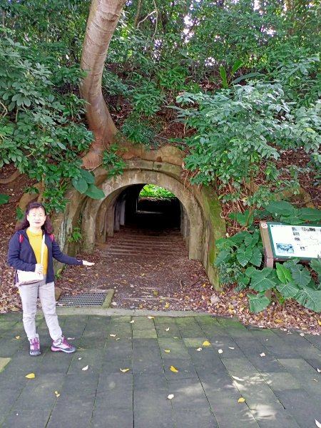 【南山神壽任務尋寶趣】臺北市綠肺的富陽自然生態公園、福州山步道1595457