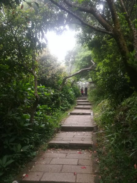 小百岳013號～南港山，幾乎整路爬樓梯，不怕樓梯者限定1348543