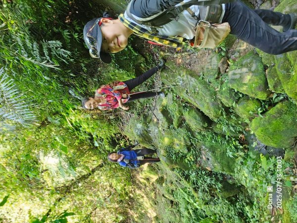 【菁桐】巡山東勢格古道全段加碼臭頭山2848015