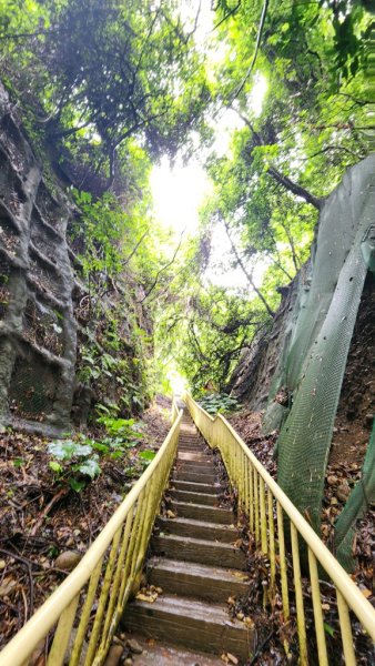 【南投民間】松柏嶺步道連走松柏坑山2601702