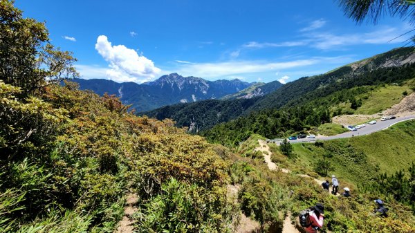 合歡山北峰， 石門山，霧峰奧山，青桐林生態園區，九九峰森林步道，桃源里森林步道，龍鳳谷森林步道1779150