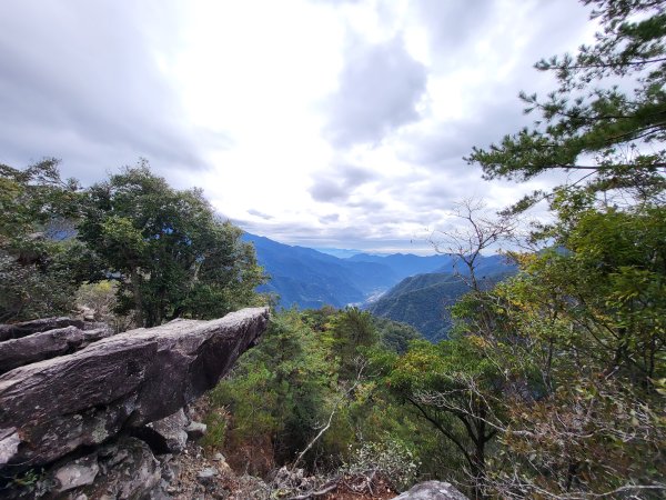 2025.11.30 谷關七雄 No.4 波津加山，不給休的蜂封面